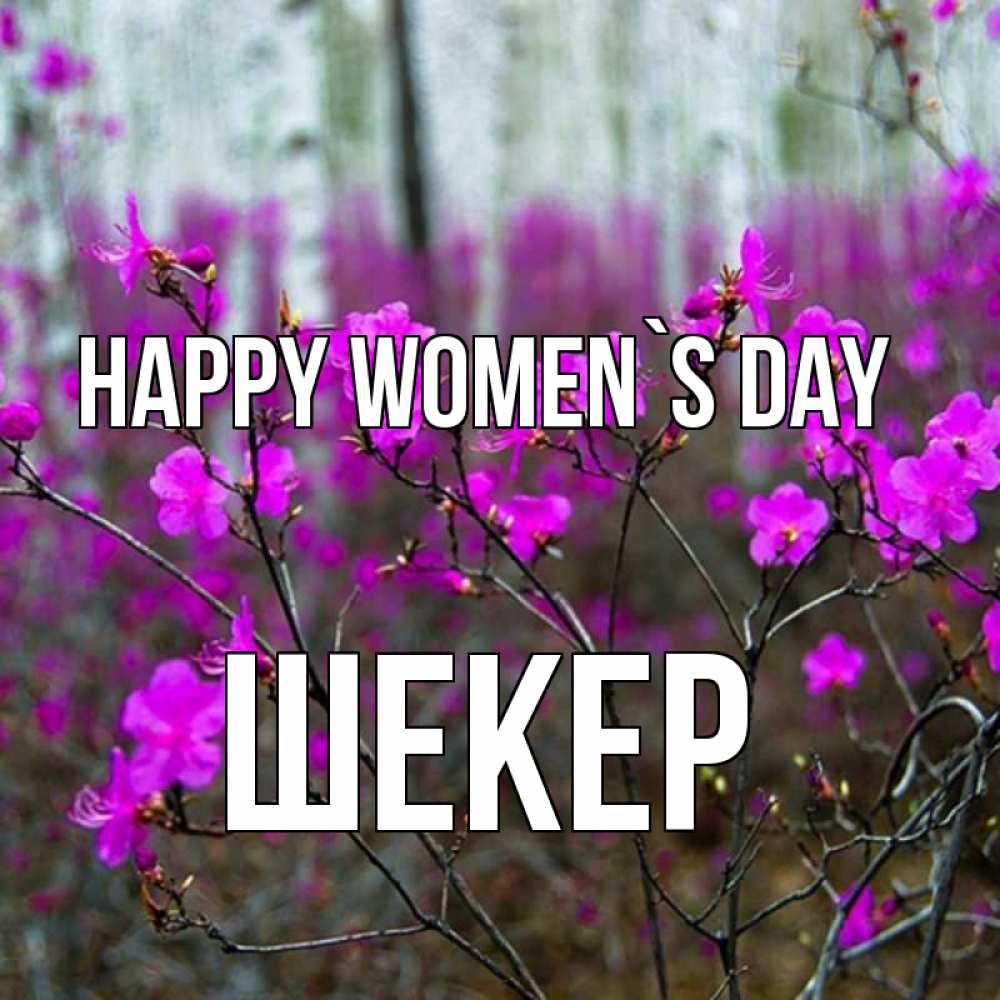 Greetings card с именем, ШЕКЕР happy women`s day дикие цветы Greetings with text for free download 